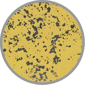 Microscope view showing a dotted pattern — low fertility