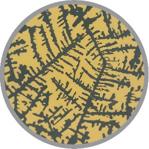 Microscope view showing a full fern pattern — peak fertility